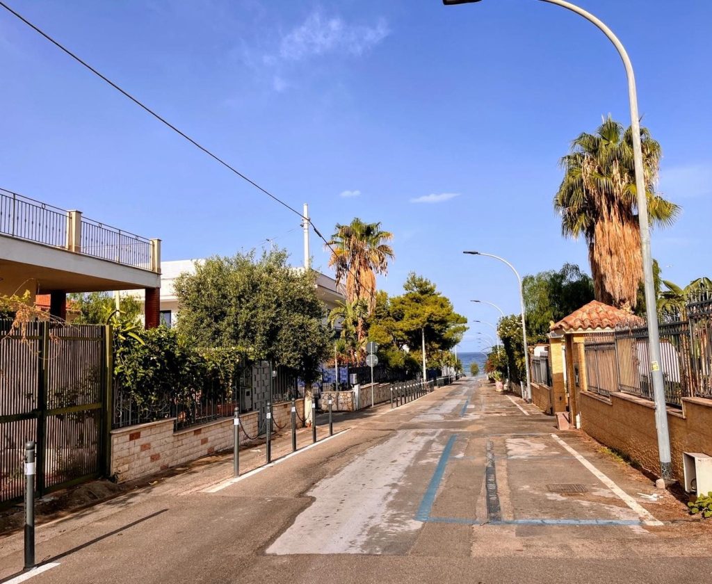 Palm-lined street leading down to the sea